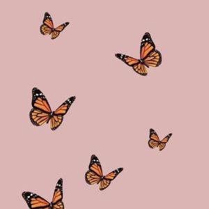 Meet your Posher, Evie